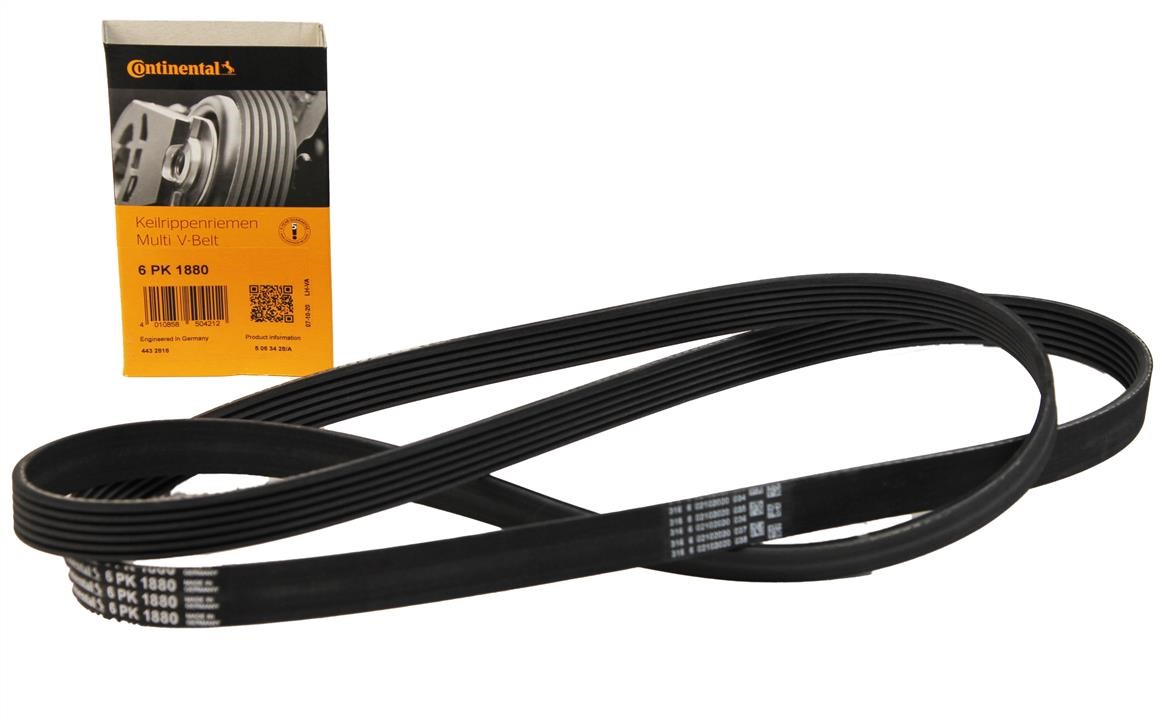 Buy Contitech 6PK1880 at a low price in Poland!