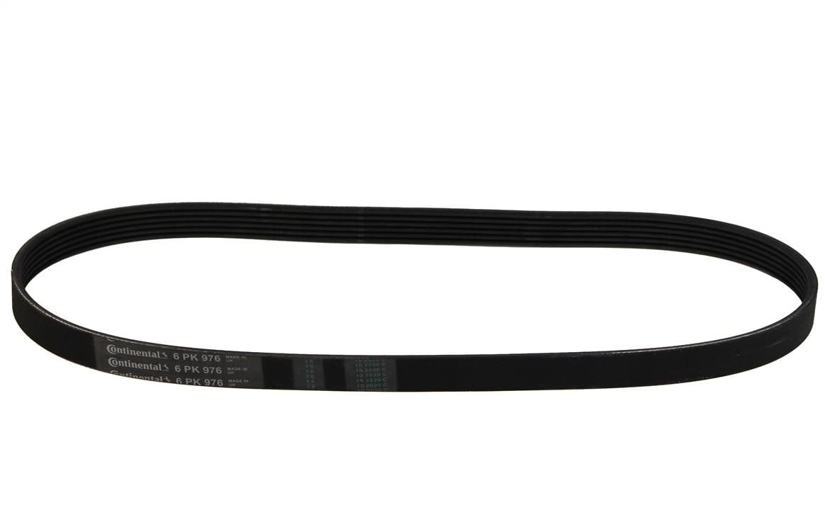 Contitech 6PK976 V-ribbed belt 6PK976 6PK976: Buy near me in Poland at 2407.PL - Good price!