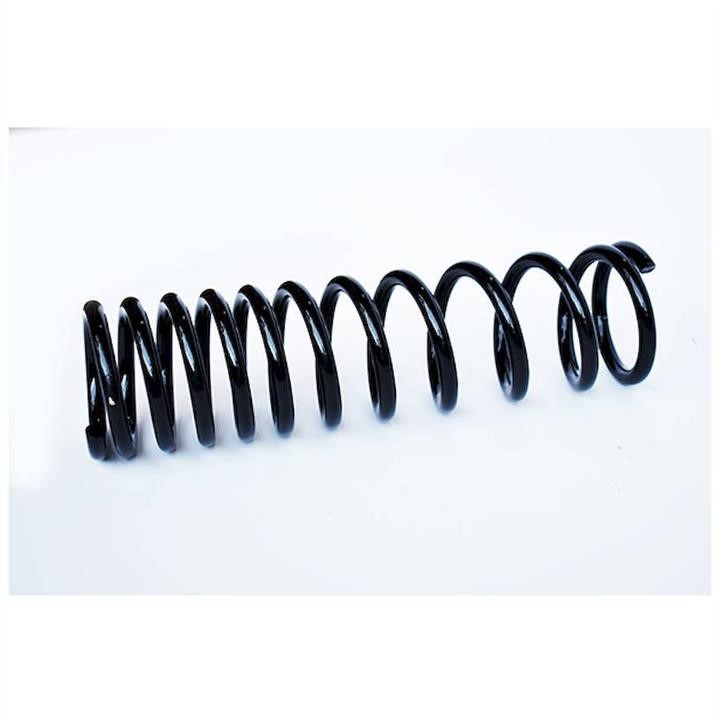 ASAM 73797 Coil Spring 73797: Buy near me at 2407.PL in Poland at an Affordable price!