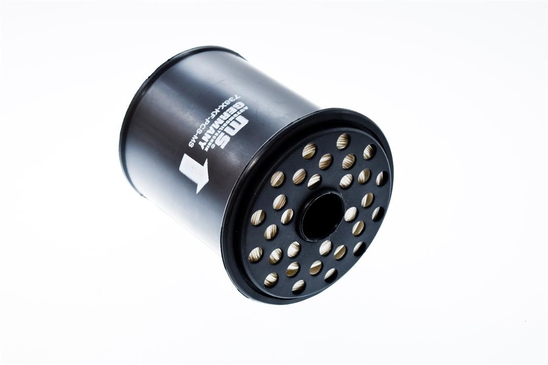 Master-sport 738X-KF-PCS-MS Fuel filter 738XKFPCSMS: Buy near me in Poland at 2407.PL - Good price!