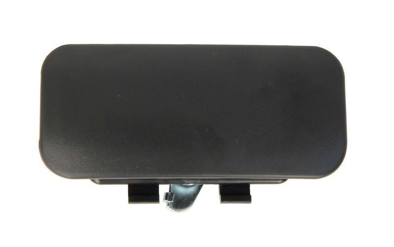 Handle-assist Blic 6010-03-025410P