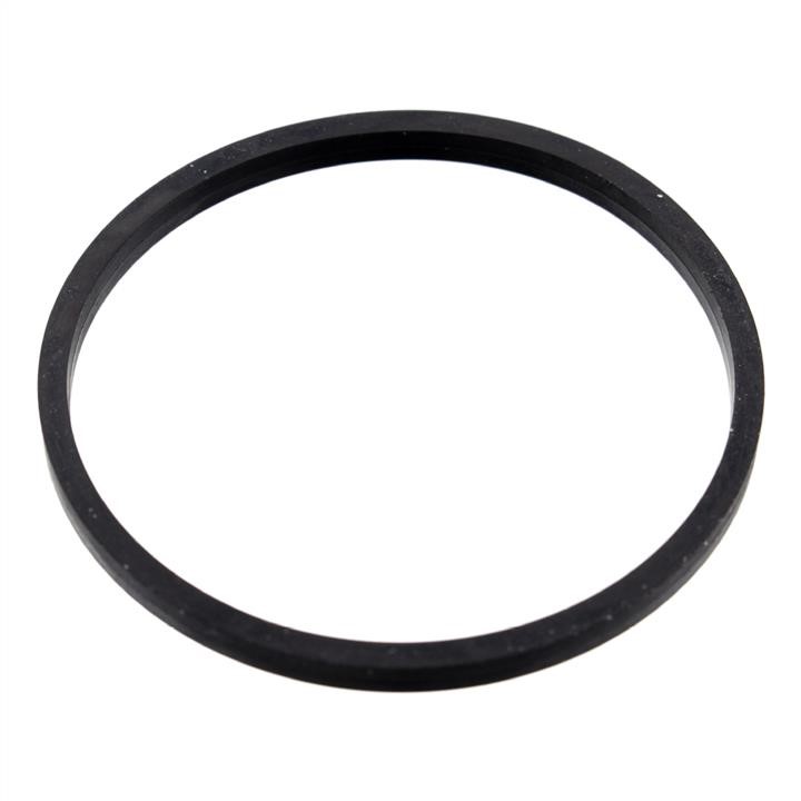 SWAG 10 10 0055 Termostat gasket 10100055: Buy near me in Poland at 2407.PL - Good price!