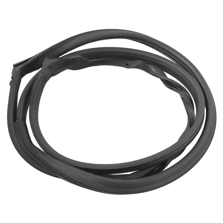 SWAG 10 90 1960 Rear left door seal 10901960: Buy near me in Poland at 2407.PL - Good price!