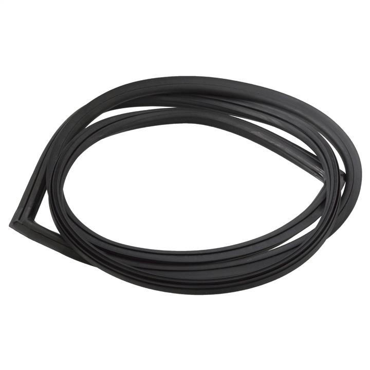 SWAG 10 90 8871 Rear window seal 10908871: Buy near me in Poland at 2407.PL - Good price!
