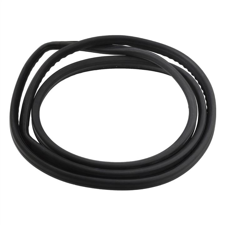 SWAG 10 90 8883 Rear window seal 10908883: Buy near me in Poland at 2407.PL - Good price!