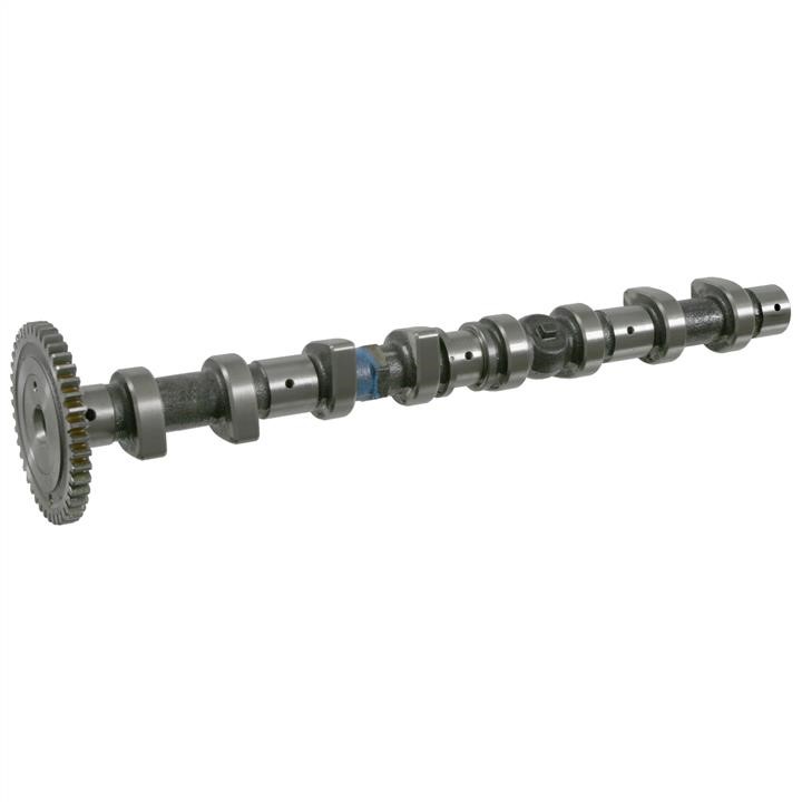 SWAG 10 92 1669 Camshaft 10921669: Buy near me in Poland at 2407.PL - Good price!