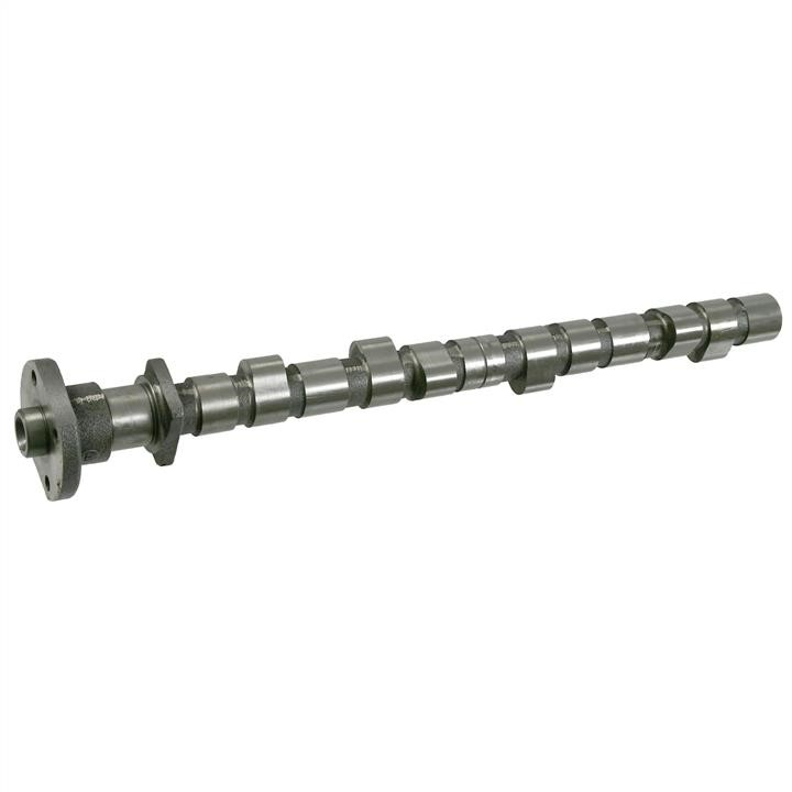 SWAG 20 31 0022 Camshaft 20310022: Buy near me in Poland at 2407.PL - Good price!