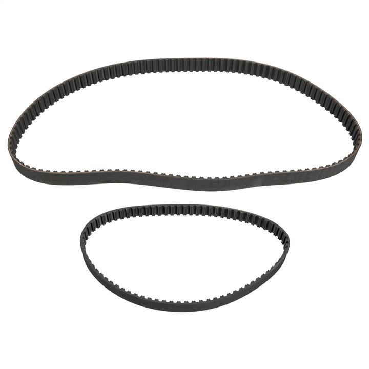  30 02 0045 Timing Belt Kit 30020045: Buy near me in Poland at 2407.PL - Good price!