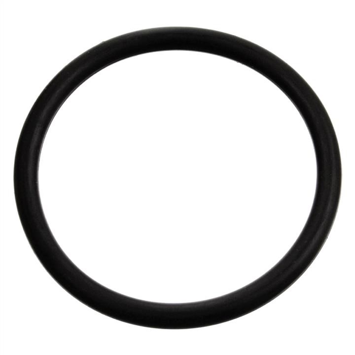 SWAG 30 91 7970 Termostat gasket 30917970: Buy near me at 2407.PL in Poland at an Affordable price!