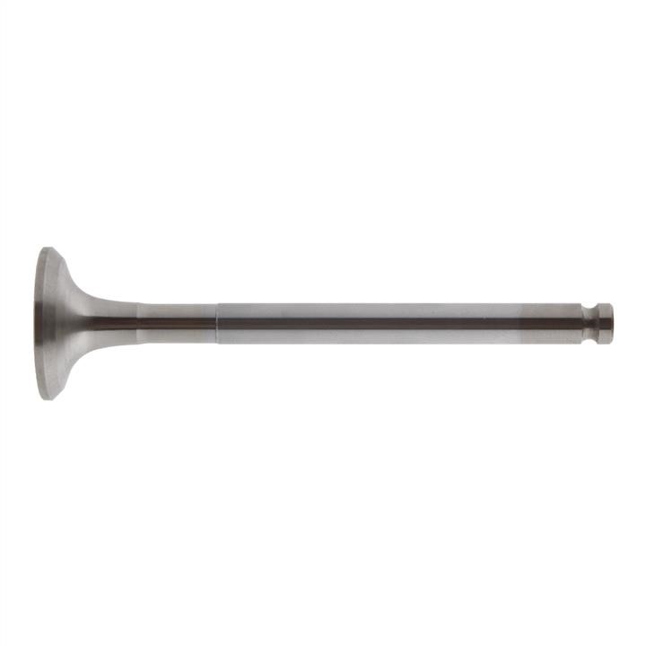 SWAG 70 91 9883 Exhaust valve 70919883: Buy near me in Poland at 2407.PL - Good price!