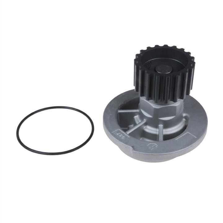 ADG09121 Blue Print Water pump