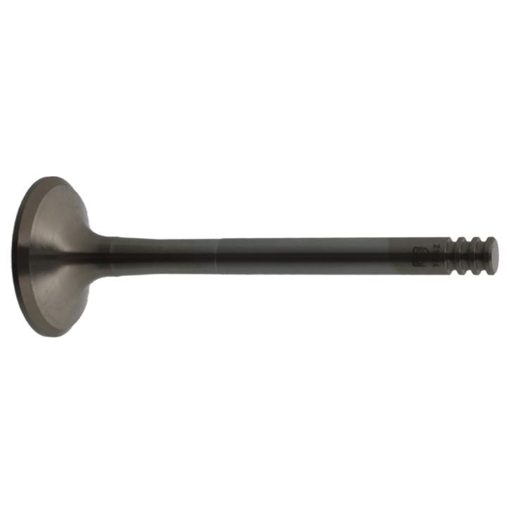 SWAG 30 92 1024 Exhaust valve 30921024: Buy near me in Poland at 2407.PL - Good price!