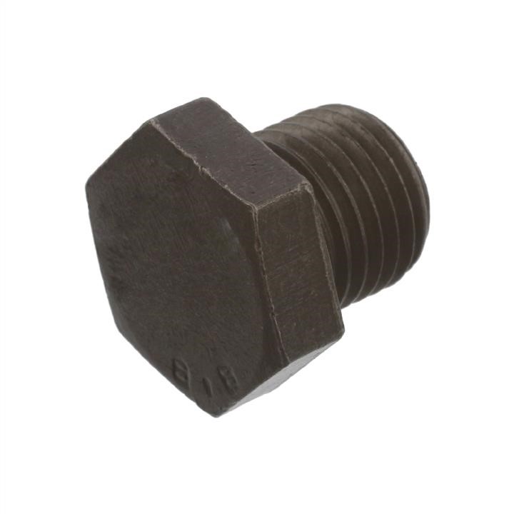 SWAG 40 90 3160 Sump plug 40903160: Buy near me in Poland at 2407.PL - Good price!