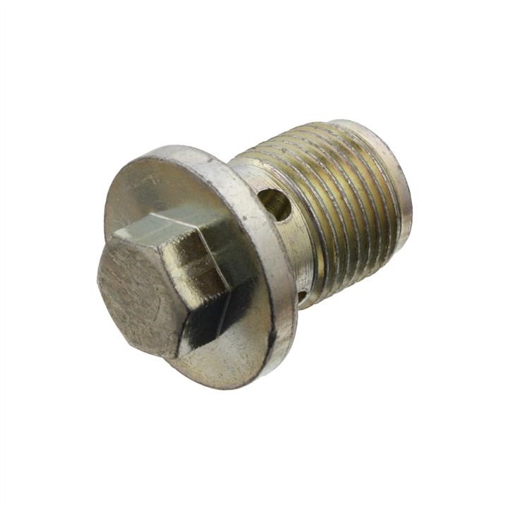 SWAG 40 93 1117 Sump plug 40931117: Buy near me in Poland at 2407.PL - Good price!