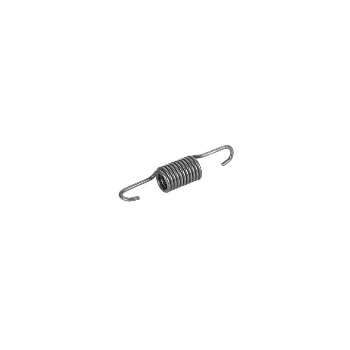 SWAG 50 91 9324 Spring, bonnet lock fitting 50919324: Buy near me in Poland at 2407.PL - Good price!