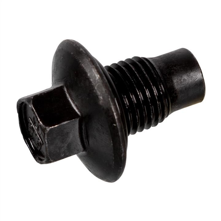 SWAG 50 92 1096 Sump plug 50921096: Buy near me in Poland at 2407.PL - Good price!