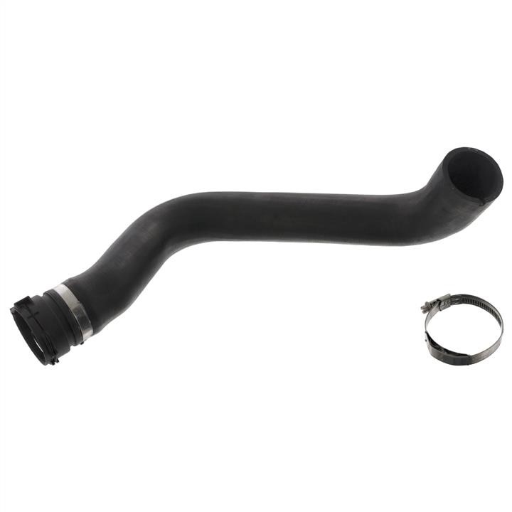 febi 49746 Radiator Hose 49746: Buy near me in Poland at 2407.PL - Good price!