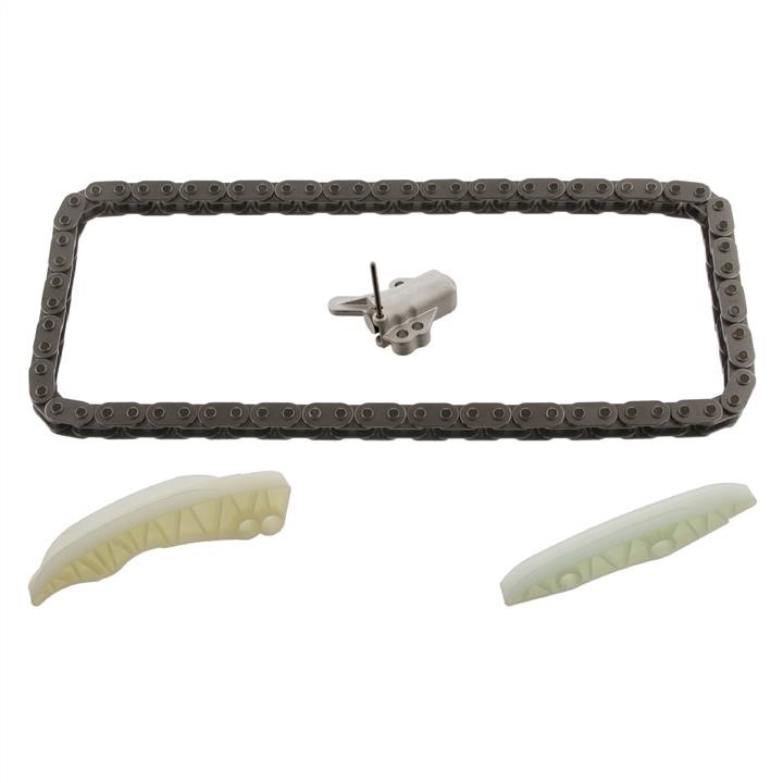 99136076 SWAG Timing chain kit