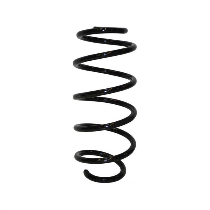 Jp Group 1142201100 Suspension spring front 1142201100: Buy near me in Poland at 2407.PL - Good price!