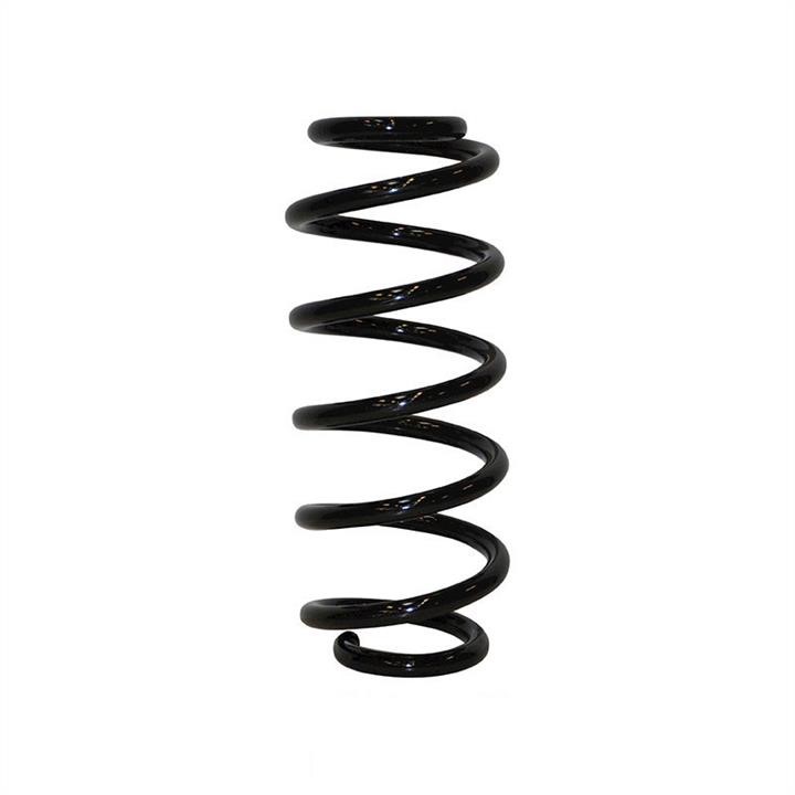 Jp Group 1142207500 Suspension spring front 1142207500: Buy near me in Poland at 2407.PL - Good price!