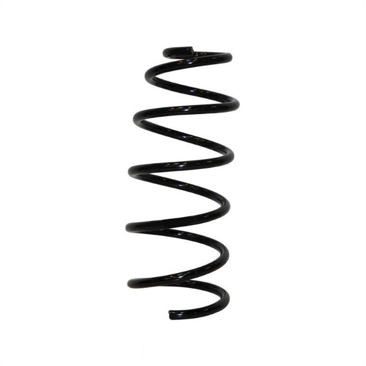 Jp Group 1142216300 Suspension spring front 1142216300: Buy near me in Poland at 2407.PL - Good price!