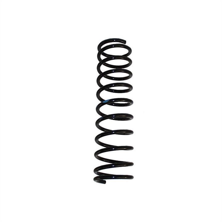 Jp Group 1152200200 Coil Spring 1152200200: Buy near me at 2407.PL in Poland at an Affordable price!
