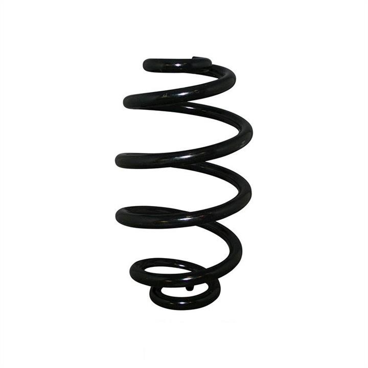 Jp Group 1152202000 Coil Spring 1152202000: Buy near me in Poland at 2407.PL - Good price!