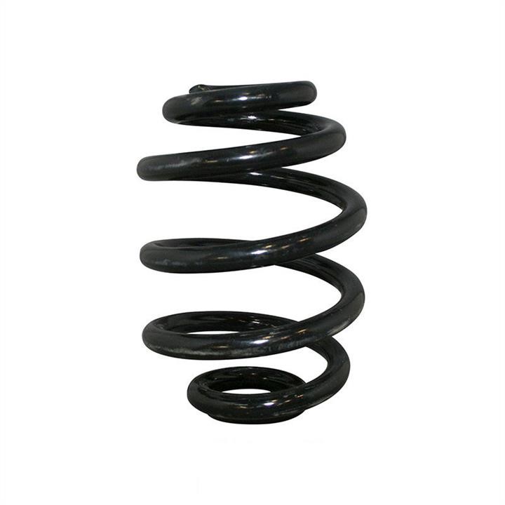 Jp Group 1152202100 Coil Spring 1152202100: Buy near me in Poland at 2407.PL - Good price!