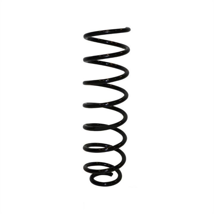 Jp Group 1152202800 Coil Spring 1152202800: Buy near me at 2407.PL in Poland at an Affordable price!