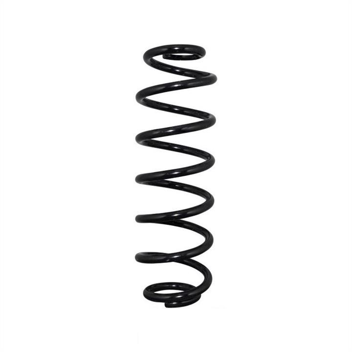 Jp Group 1152205100 Coil Spring 1152205100: Buy near me in Poland at 2407.PL - Good price!