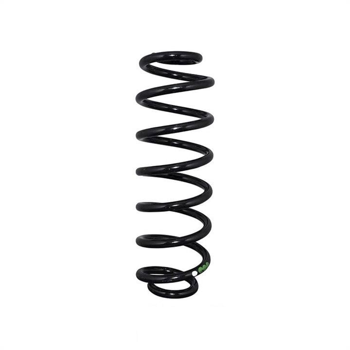 Jp Group 1152213400 Coil Spring 1152213400: Buy near me in Poland at 2407.PL - Good price!