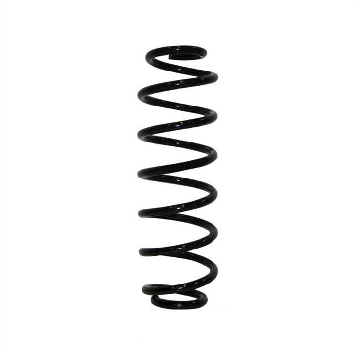 Jp Group 1152214300 Coil Spring 1152214300: Buy near me in Poland at 2407.PL - Good price!