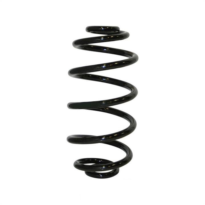 Jp Group 1152214400 Coil Spring 1152214400: Buy near me in Poland at 2407.PL - Good price!