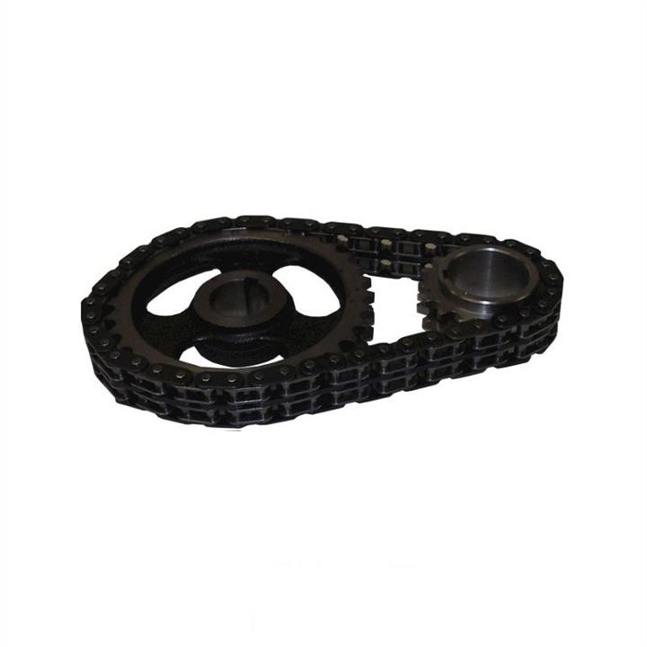 Jp Group 1112500110 Timing chain kit 1112500110: Buy near me in Poland at 2407.PL - Good price!