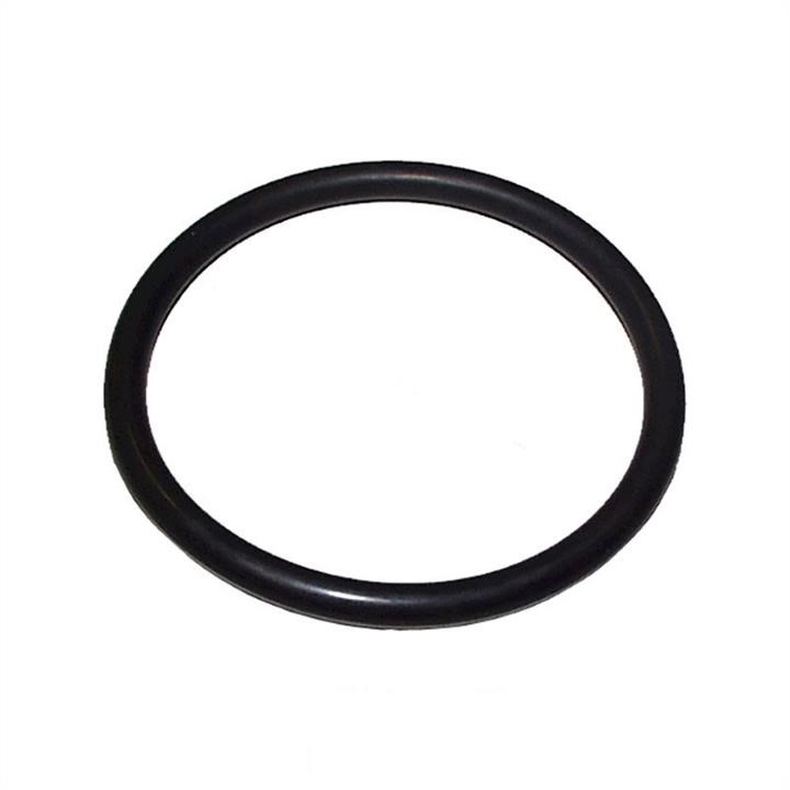Jp Group 1114650300 Termostat gasket 1114650300: Buy near me in Poland at 2407.PL - Good price!