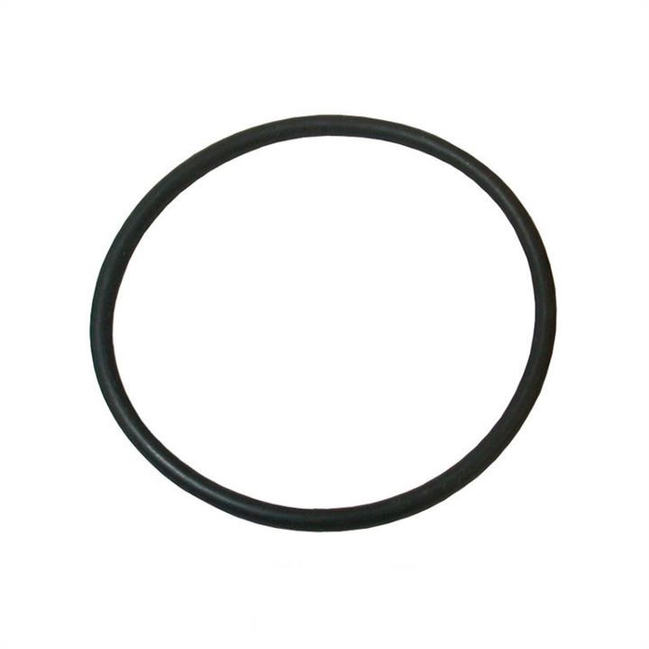 Jp Group 1114650700 Termostat gasket 1114650700: Buy near me at 2407.PL in Poland at an Affordable price!