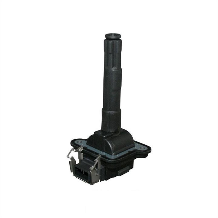 Jp Group 1191600300 Ignition coil 1191600300: Buy near me in Poland at 2407.PL - Good price!
