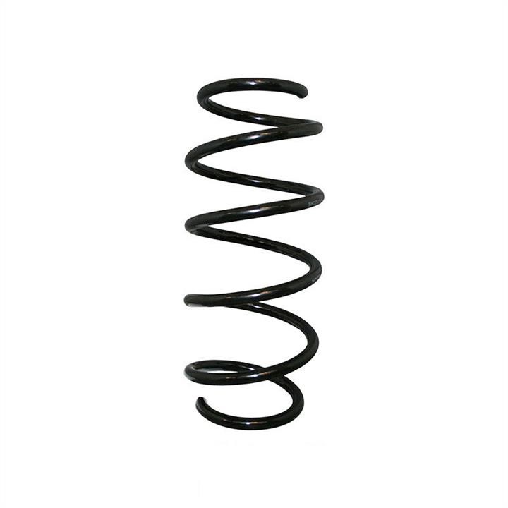 Jp Group 1242200200 Suspension spring front 1242200200: Buy near me in Poland at 2407.PL - Good price!