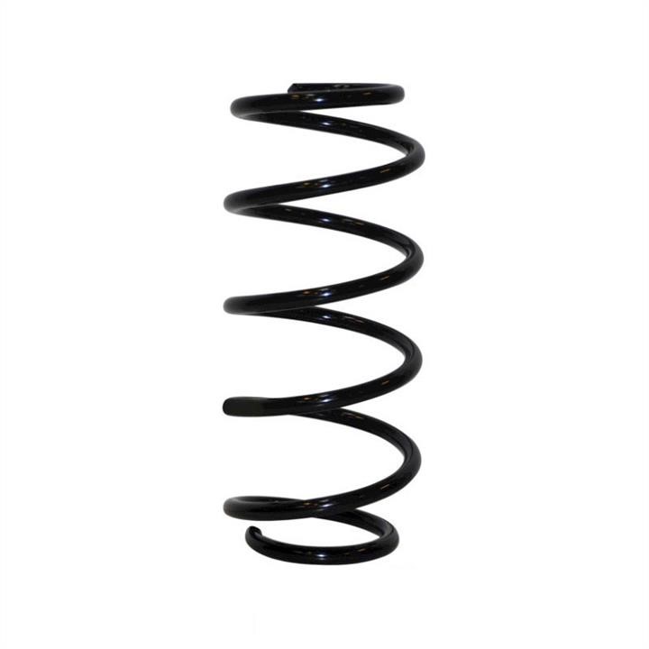 Jp Group 1242202100 Coil Spring 1242202100: Buy near me in Poland at 2407.PL - Good price!