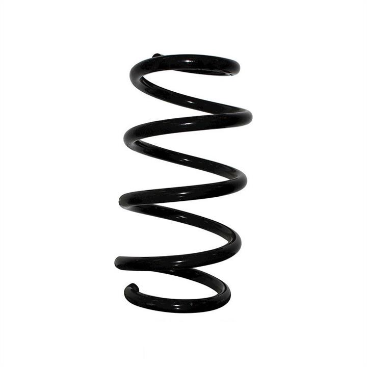 Jp Group 1242203400 Coil Spring 1242203400: Buy near me in Poland at 2407.PL - Good price!