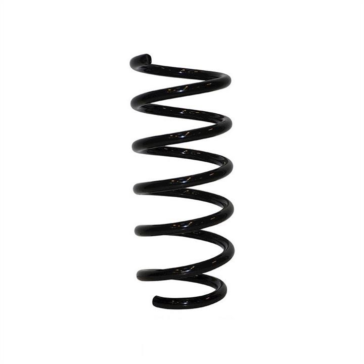 Jp Group 1242203900 Coil Spring 1242203900: Buy near me in Poland at 2407.PL - Good price!