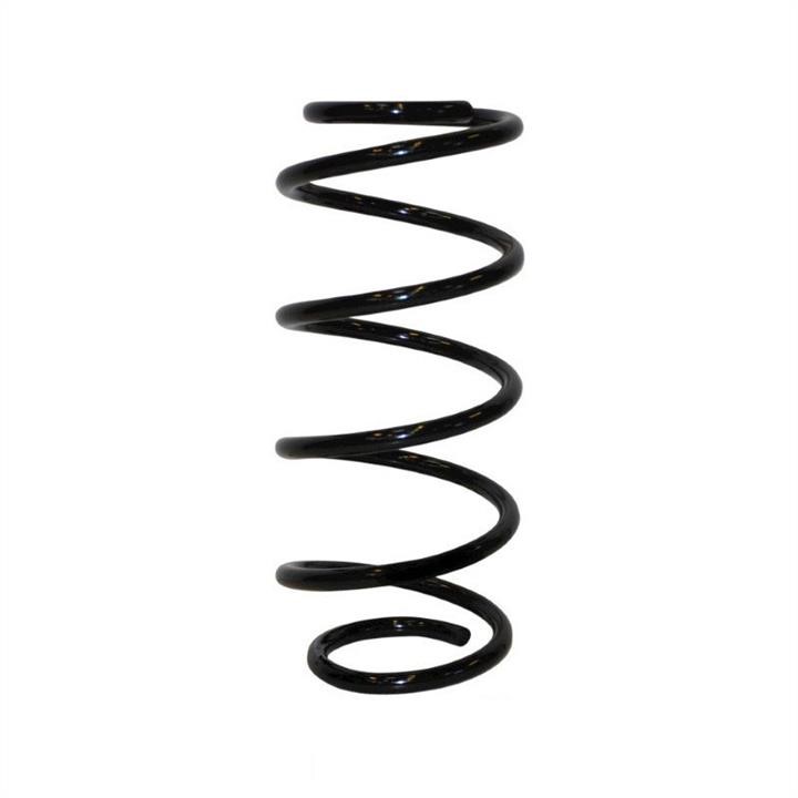 Jp Group 1242204400 Coil Spring 1242204400: Buy near me in Poland at 2407.PL - Good price!