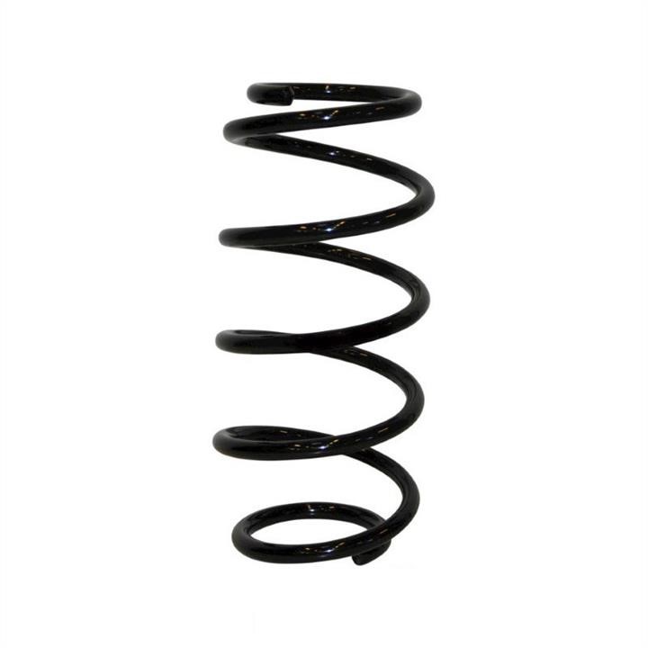 Jp Group 1242204800 Coil Spring 1242204800: Buy near me in Poland at 2407.PL - Good price!