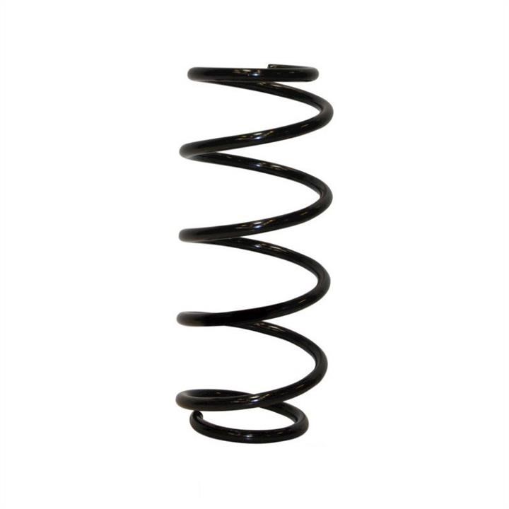 Jp Group 1242205200 Coil Spring 1242205200: Buy near me in Poland at 2407.PL - Good price!