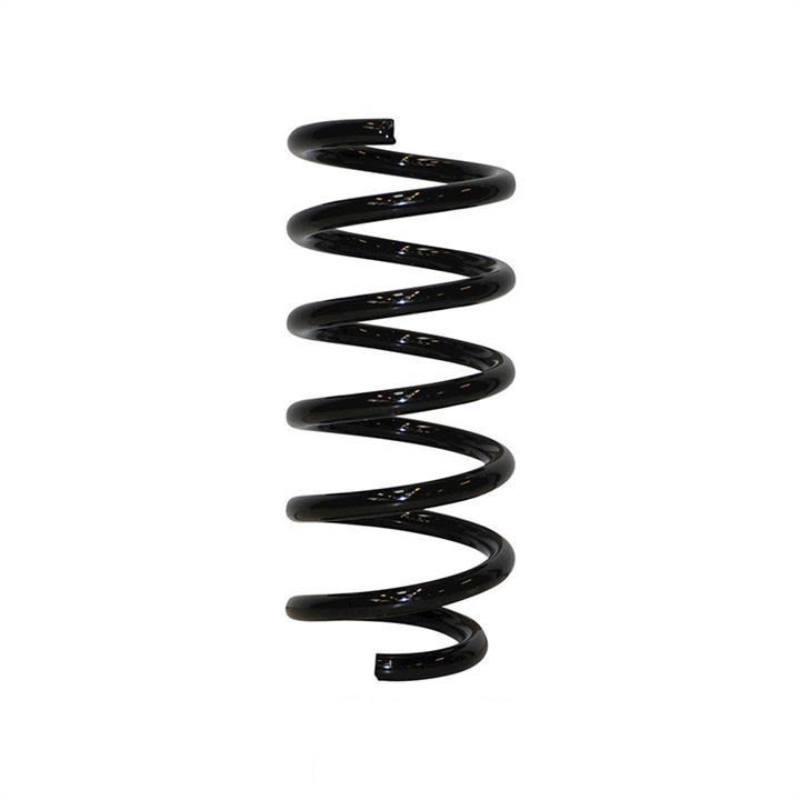Jp Group 1242205400 Coil Spring 1242205400: Buy near me in Poland at 2407.PL - Good price!