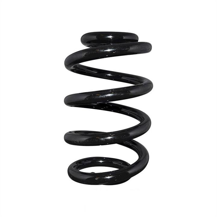 Jp Group 1242206100 Coil Spring 1242206100: Buy near me in Poland at 2407.PL - Good price!