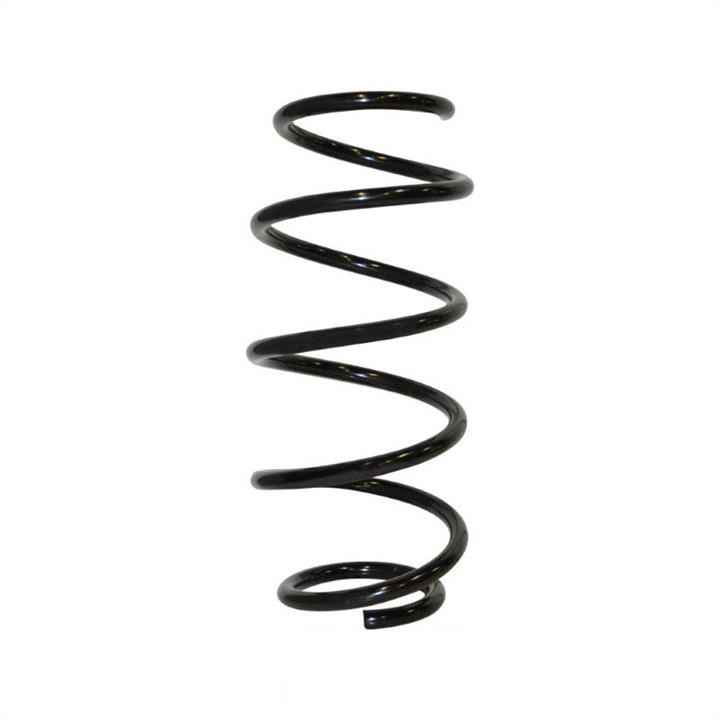 Jp Group 1242206200 Coil Spring 1242206200: Buy near me in Poland at 2407.PL - Good price!