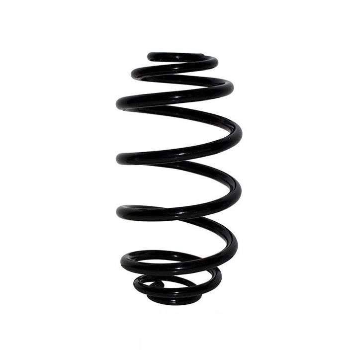 Jp Group 1252202000 Coil Spring 1252202000: Buy near me in Poland at 2407.PL - Good price!