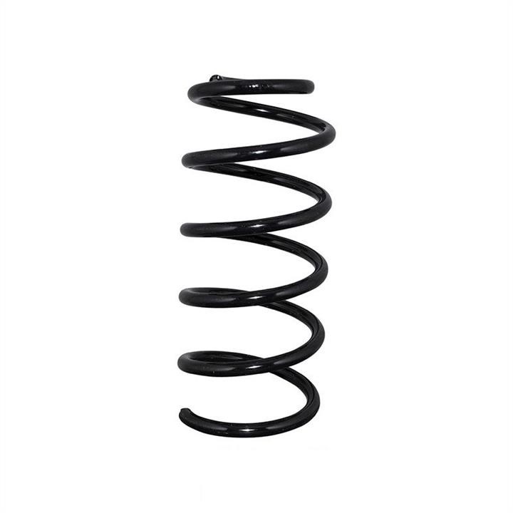 Jp Group 1252202500 Coil Spring 1252202500: Buy near me in Poland at 2407.PL - Good price!