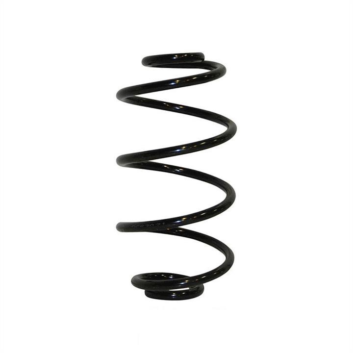 Jp Group 1252204100 Coil Spring 1252204100: Buy near me in Poland at 2407.PL - Good price!